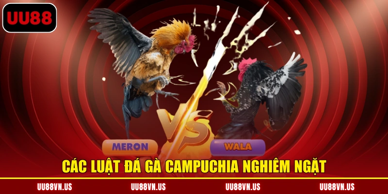 Các luật đá gà Campuchia nghiêm ngặt