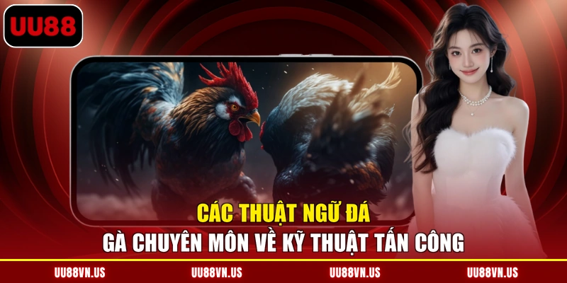 Các thuật ngữ đá gà chuyên môn về kỹ thuật tấn công