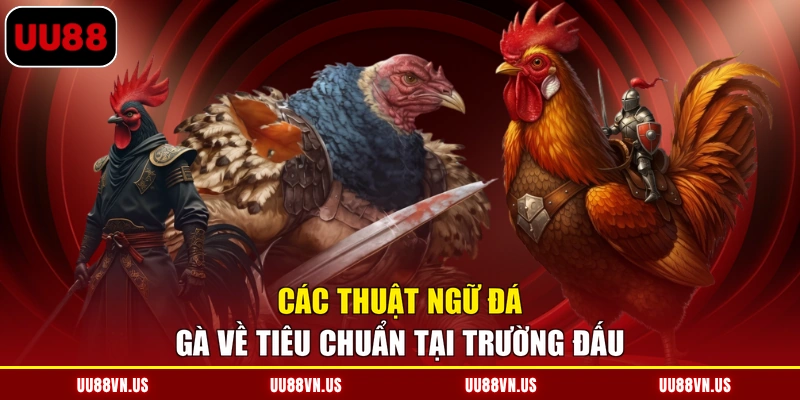 Các thuật ngữ đá gà về tiêu chuẩn tại trường đấu