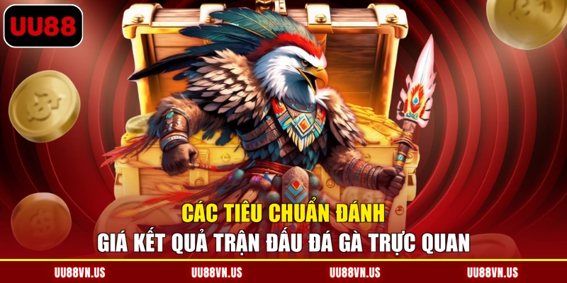 Các tiêu chuẩn đánh giá kết quả trận đấu đá gà trực quan