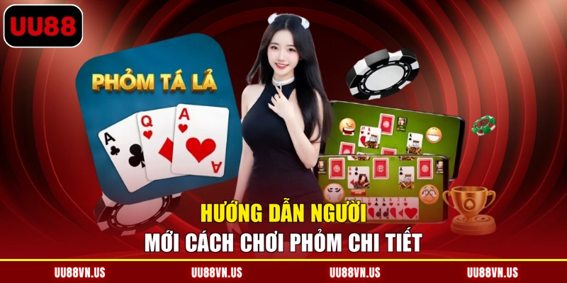 Hướng dẫn người mới cách chơi Phỏm chi tiết