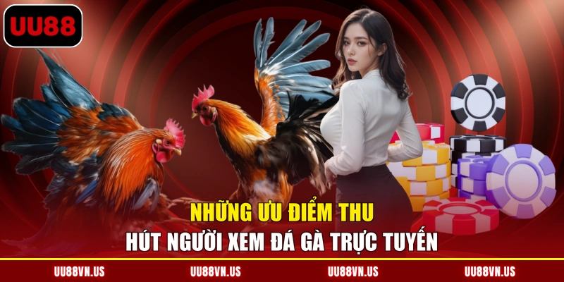 Những ưu điểm thu hút người xem đá gà trực tuyến